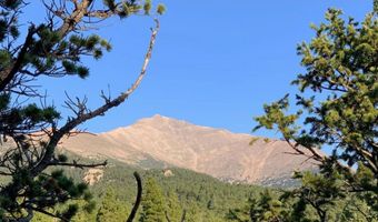 12190 Highway 7, Allenspark, CO 80510