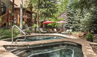 501 W Main St A104, Aspen, CO 81611