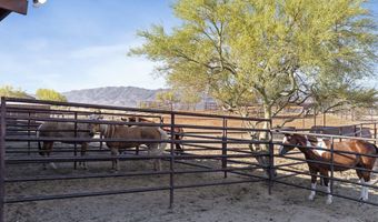 21620 W Buckwheat Ln, Congress, AZ 85332