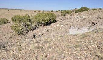 986 Concho Hwy, Concho, AZ 85924
