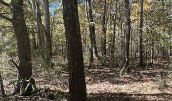 5151 Nash Rd, Batesville, MS 38606