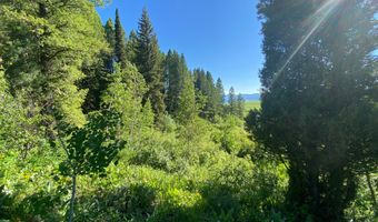 400 GROVER DRY FARM Rd, Afton, WY 83110