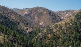 0 Pine Acres Way, Bellvue, CO 80512