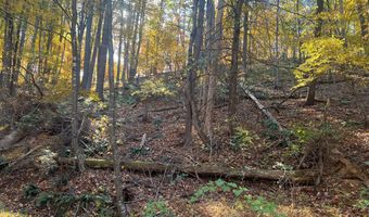 0 PIN OAK St, Basye, VA 22810