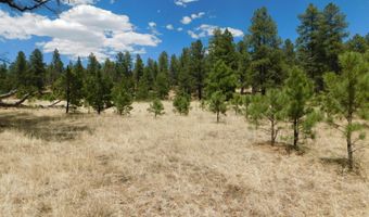 10 N2310, Alpine, AZ 85920