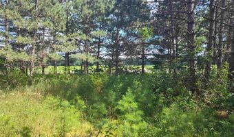 Lot 113 Beaver Lane, Arkdale, WI 54613