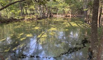 2053 CR 4314, De Kalb, TX 75559