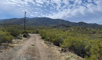 000 Palace Dr, Mountain Center, CA 92561