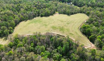 378 County Road 1219, Bardwell, KY 42023
