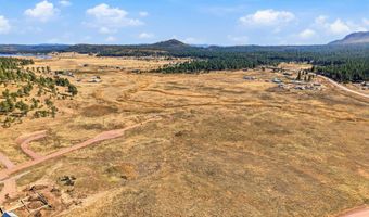 The Ranch at Alpine lot 25, Alpine, AZ 85920