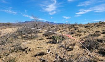 44 W Traveler Way, Congress, AZ 85332