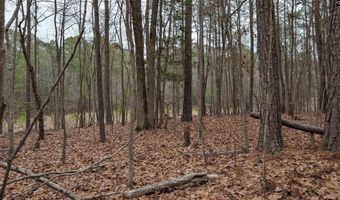 Lots B & C Miller Road, Camden, SC 29020