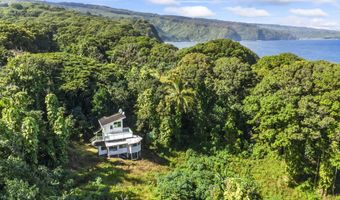 1155 Lower Nahiku Rd, Hana, HI 96753