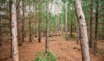 Lot 87 20th Avenue, Arkdale, WI 54613