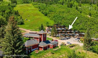 809 S Aspen St 8, Aspen, CO 81611