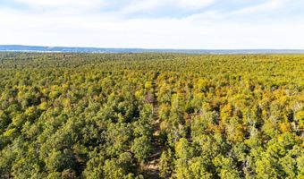 160 Jones Creek Rd, McAlester, OK 74501