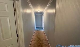 224 Dunn Dr, Albertville, AL 35950