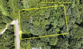 335 Otis Brown, Baldwin, GA 30511