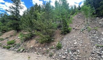 847 COUNTY ROAD 787, Alma, CO 80420