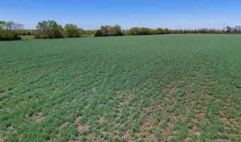 0000 SW Tawakoni Rd, Andover, KS 67002