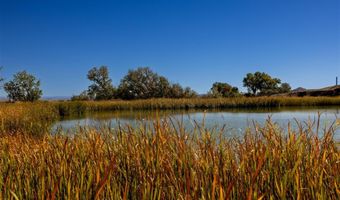 4924 Orchard Bench Rd, Basin, WY 82410