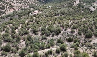 Unk Sandia Canyon Rd, Arroyo Hondo, NM 87513