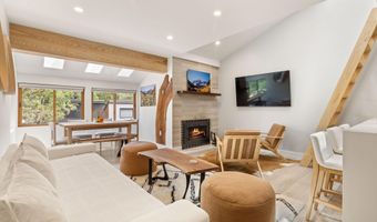 910 W Hallam St 9, Aspen, CO 81611
