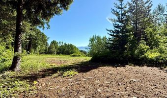 1321 W Mountain Rd, Cascade, ID 83611