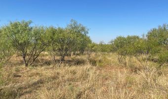 6525 E 180, Anson, TX 75901