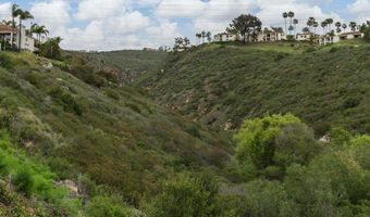 2972 Avenida Valera, Carlsbad, CA 92009