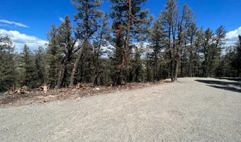 3006 MIDDLE FORK Vis, Fairplay, CO 80440