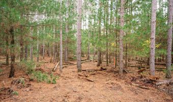 Lot 87 20th Avenue, Arkdale, WI 54613
