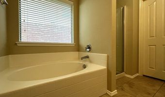 233 Niagara Falls Dr, Anna, TX 75409