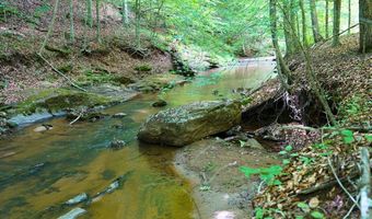 843 Wilson Mill Rd, Bassett, VA 24055
