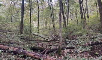4 Salem Ridge Rd, Aurora, IN 47001