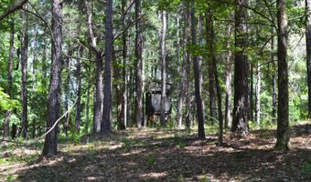 0 County Rd 22, Auburn, AL 36830