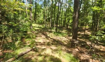 Tbd Bahalia Rd, Brookhaven, MS 39601