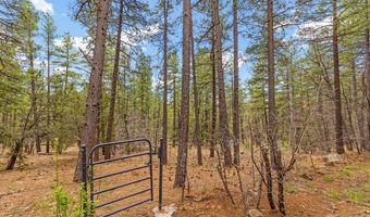 17990 S Green Mountain Pl, Munds Park, AZ 86017