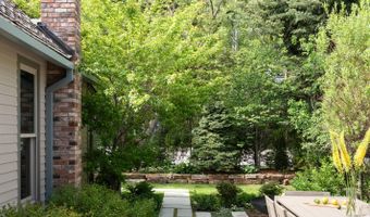 1006 E Cooper Ave, Aspen, CO 81611