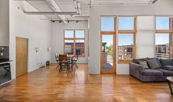 231 Robinson St 312, Basalt, CO 81621