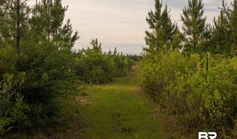 Flowers Road, Bay Minette, AL 36507