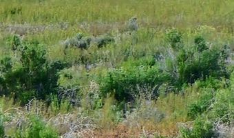 400 Cold Spring Point Rd, Crescent Valley, NV 89821