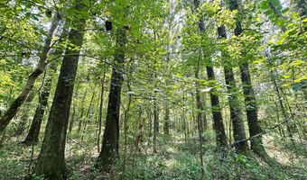 2 Champion Hill Rd, Bolton, MS 39041