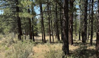 49677 S Packsaddle Cir, Beatty, OR 97621