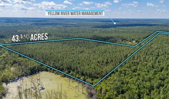 43 5 +/- A Old River Rd, Baker, FL 32531
