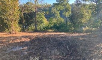 Sunshine Rd lot 1, Andalusia, AL 36421