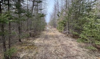 5280 Cathro Rd, Alpena, MI 49707