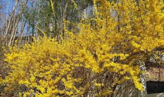 85 McVeagh Rd, Westbrook, CT 06498