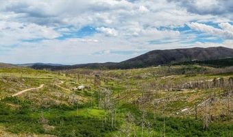 529 Quartz Rd, Bellvue, CO 80512