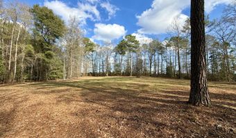 County Road 72, Ariton, AL 36311